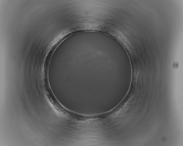 X0000090440674200707201253