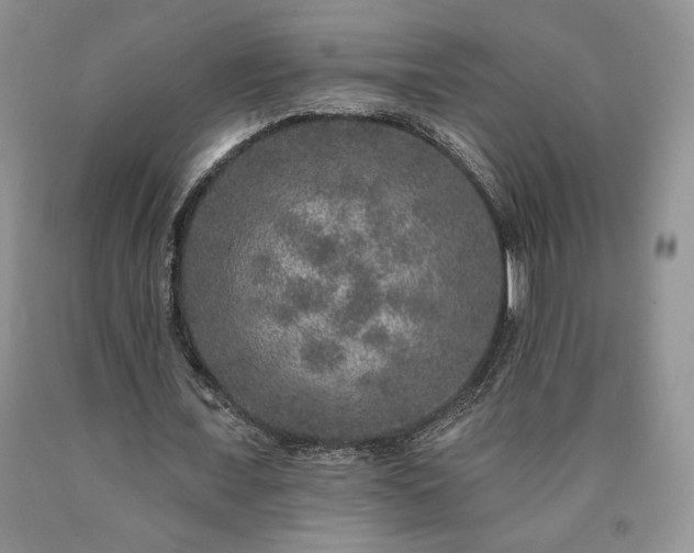 X0000090440675200707201253