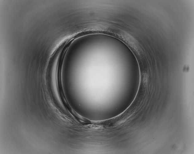 X0000090440676200707201253