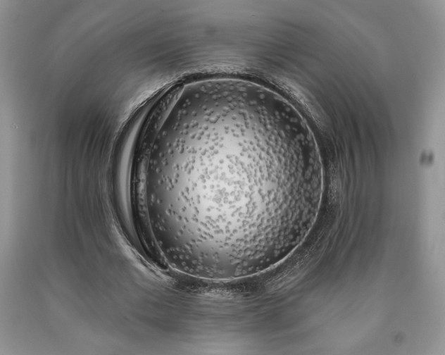 X0000090440677200707201253