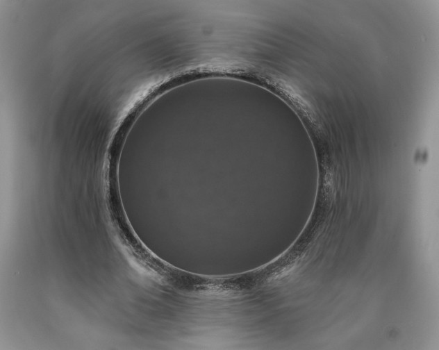 X0000090440678200707201253