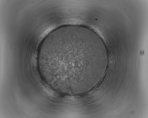 X0000090440679200707201253