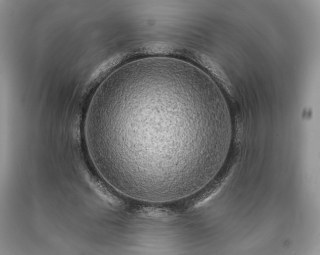 X0000090440681200707201253