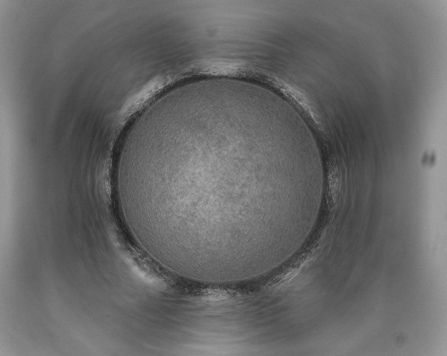 X0000090440682200707201253