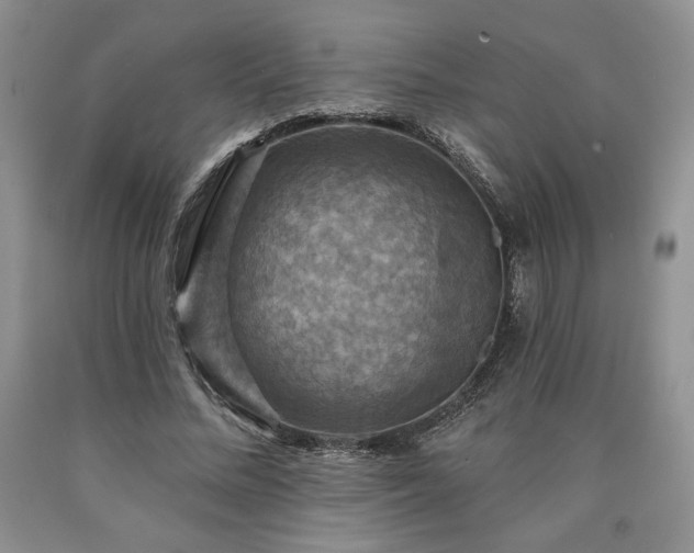 X0000090440684200707201253