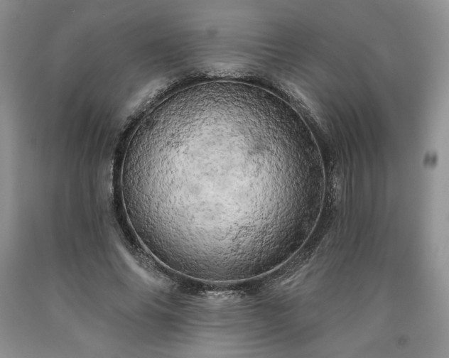 X0000090440686200707201253