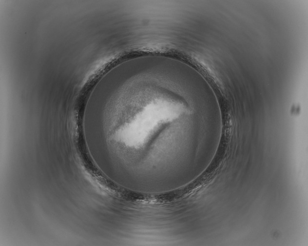 X0000090440688200707201253