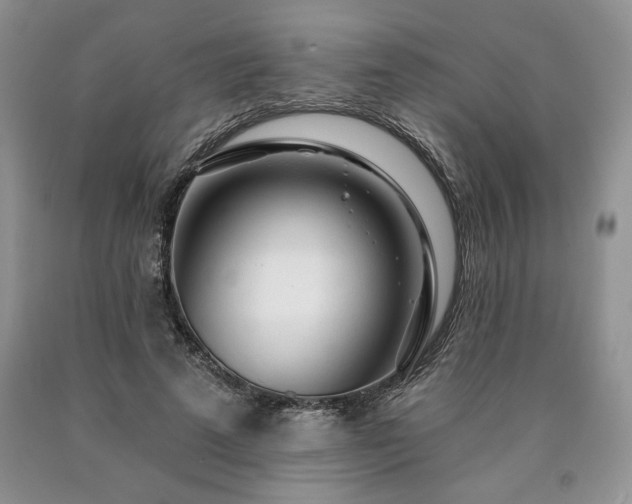 X0000090440689200707201253