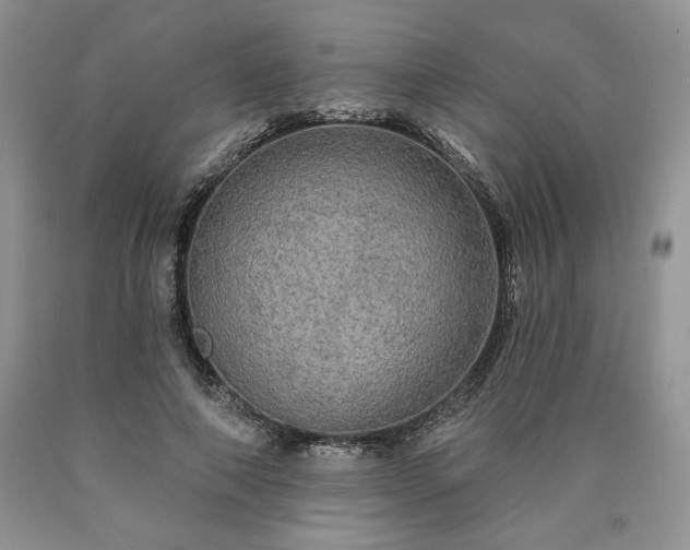 X0000090440690200707201253