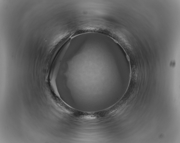 X0000090440692200707201253