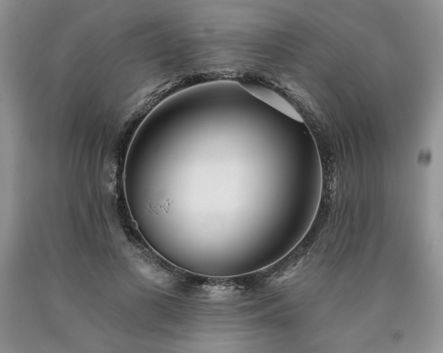 X0000090440693200707201253