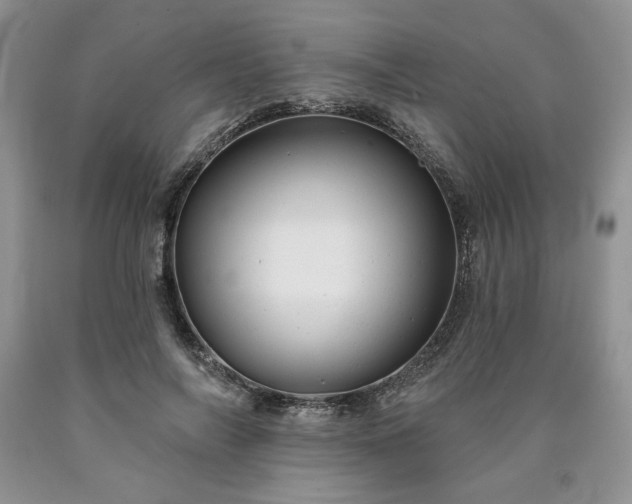 X0000090440694200707201253