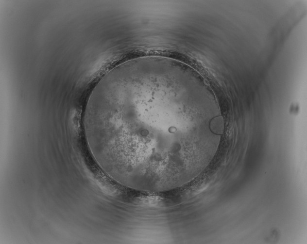 X0000090440695200707201253