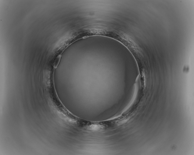 X0000090440696200707201253