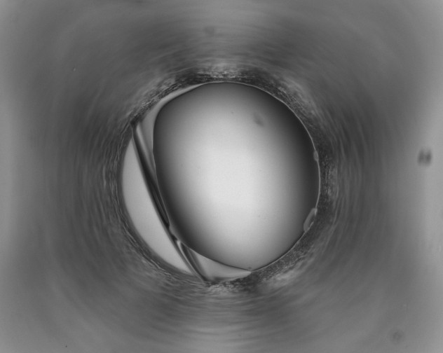 X0000090440697200707201253