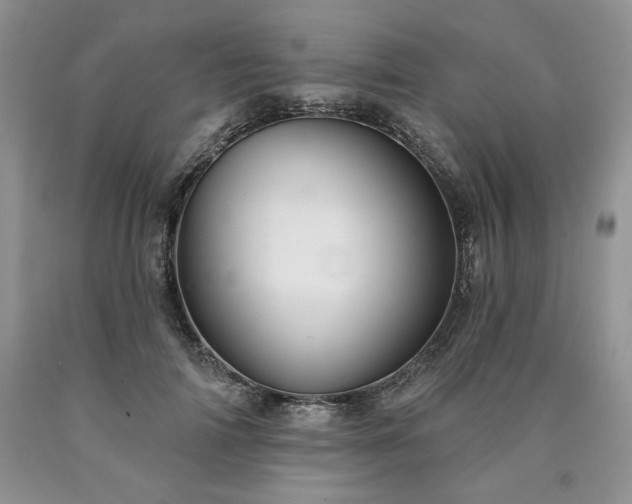 X0000090440698200707201253