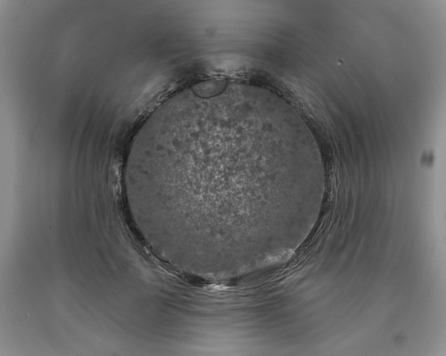 X0000090440699200707201253