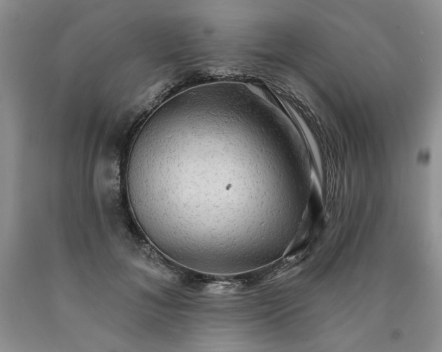 X0000090440700200707201253