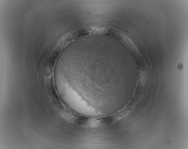 X0000090440701200707201253