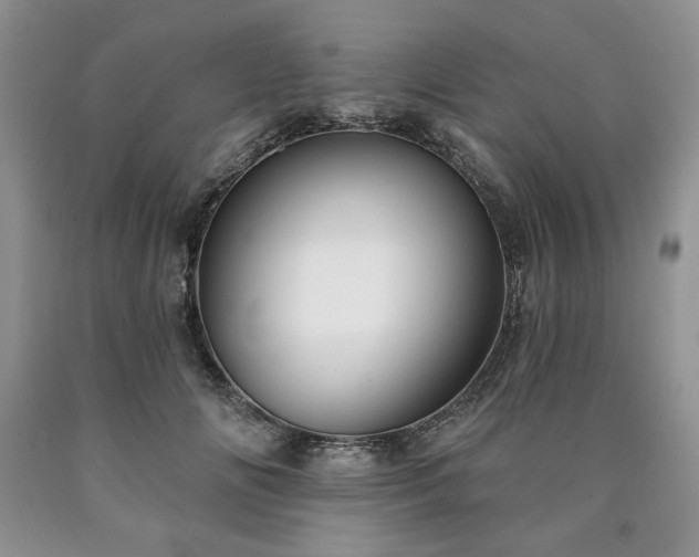 X0000090440702200707201253