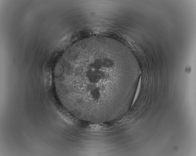 X0000090440703200707201253