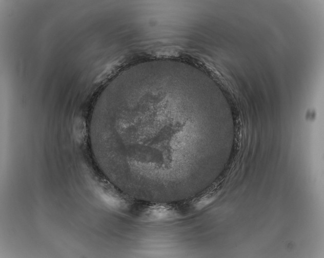 X0000090440704200707201253