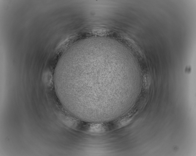 X0000090440705200707201253