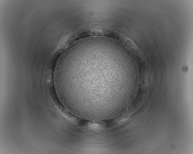 X0000090440706200707201253