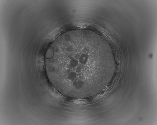 X0000090440707200707201253