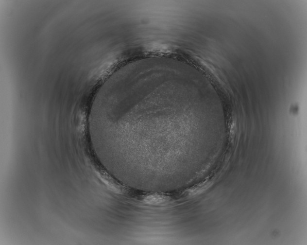 X0000090440708200707201253