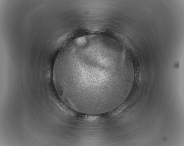 X0000090440710200707201253