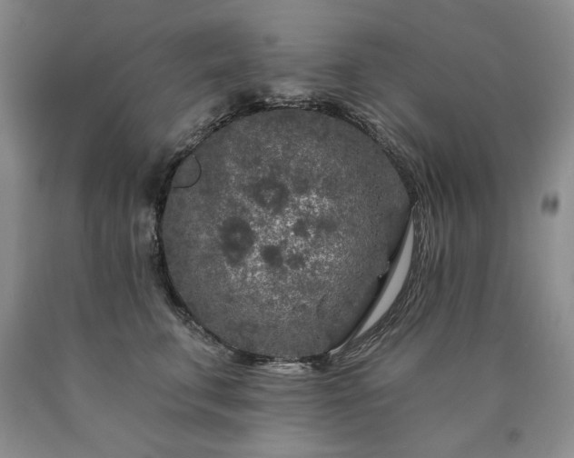 X0000090440711200707201253