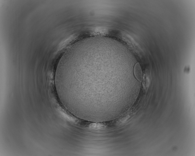 X0000090440714200707201253