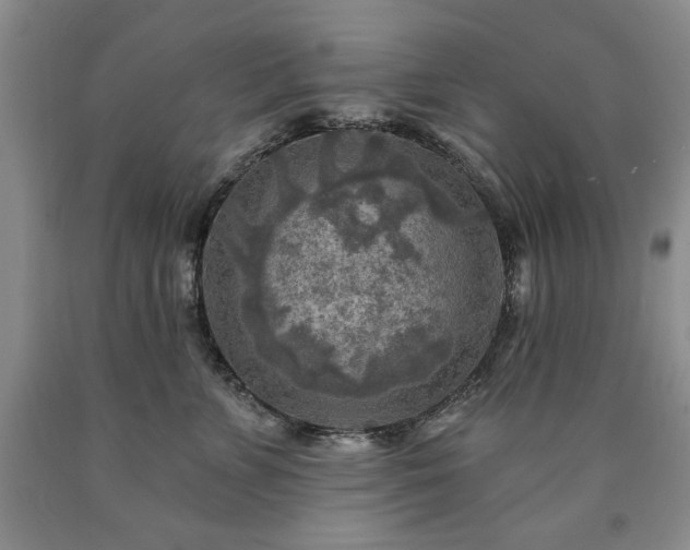 X0000090440715200707201253