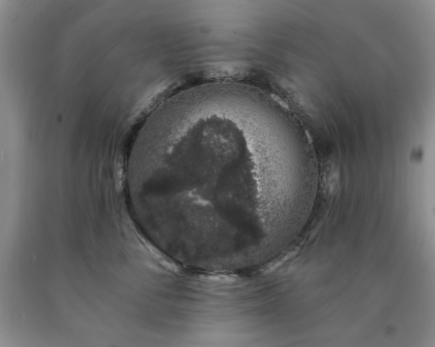 X0000090440716200707201253