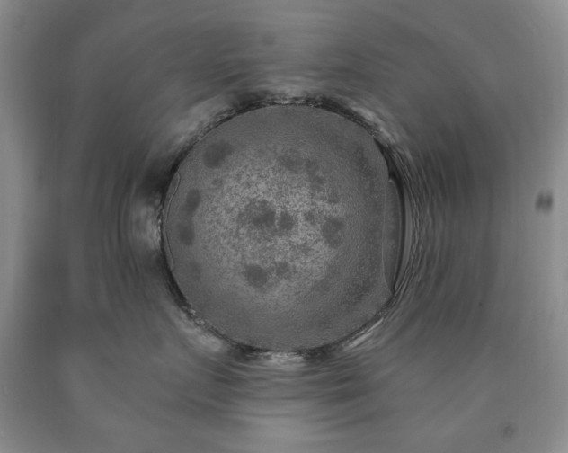 X0000090440719200707201253