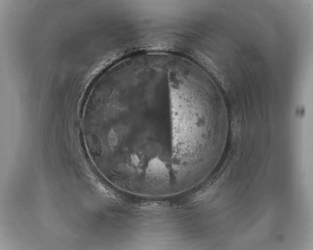 X0000090440721200707201252