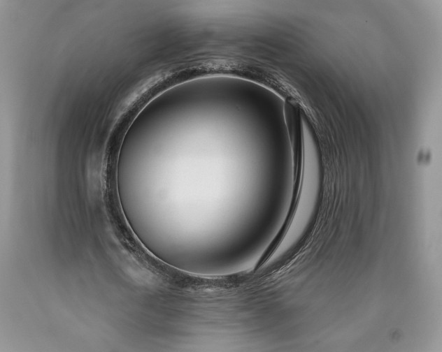 X0000090440722200707201252