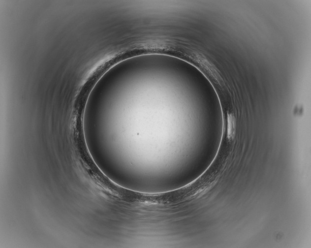 X0000090440723200707201252