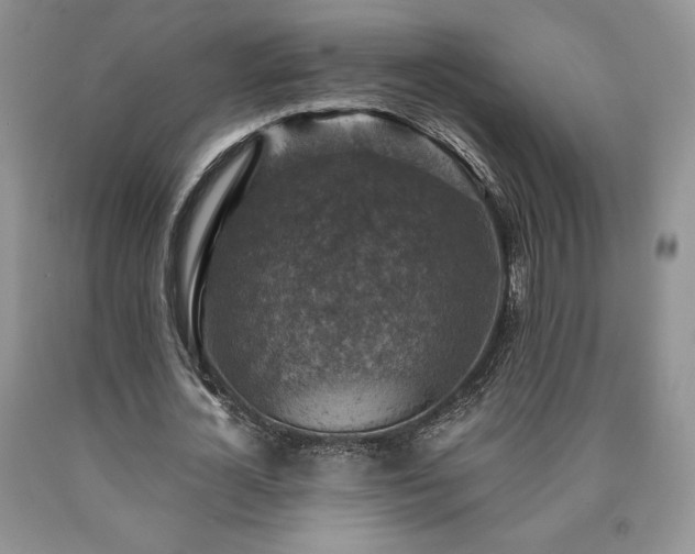 X0000090440724200707201252