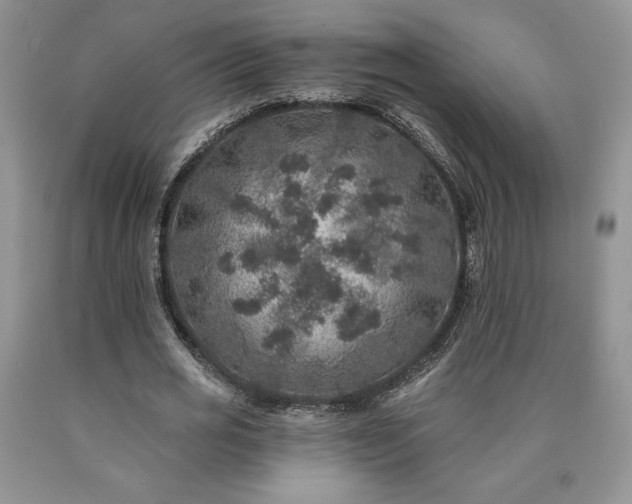 X0000090440725200707201252