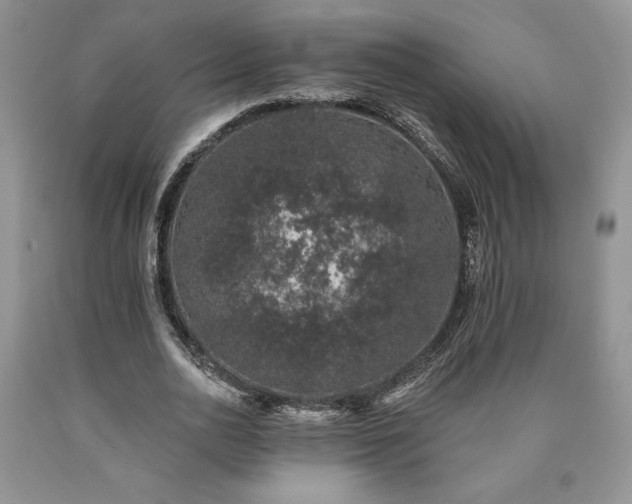 X0000090440726200707201252