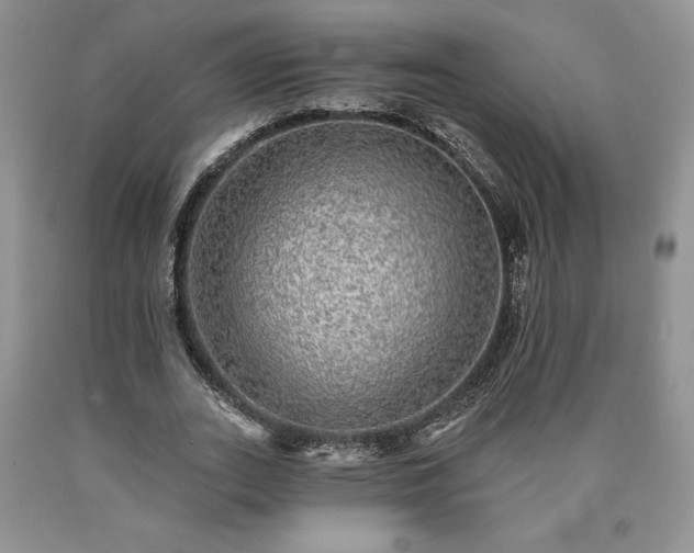 X0000090440727200707201252