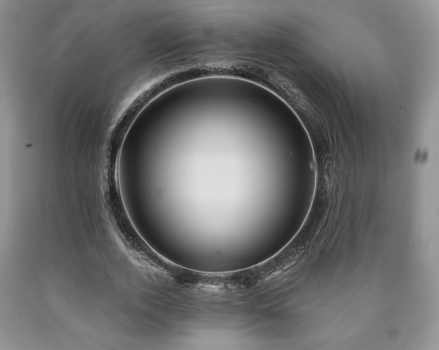 X0000090440728200707201252