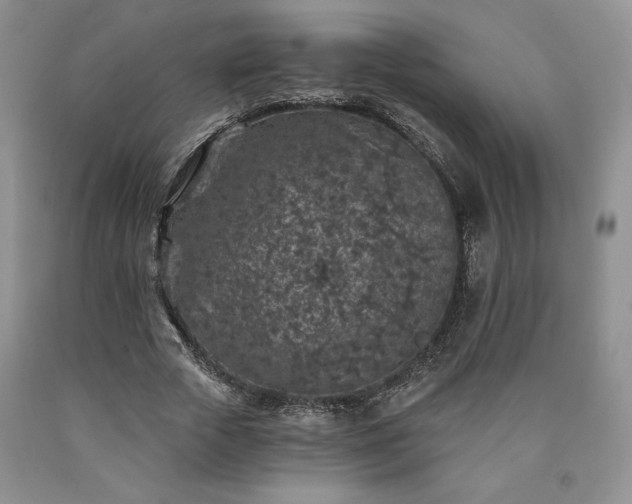 X0000090440729200707201252