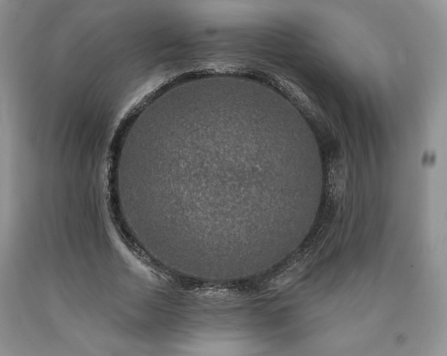 X0000090440730200707201252