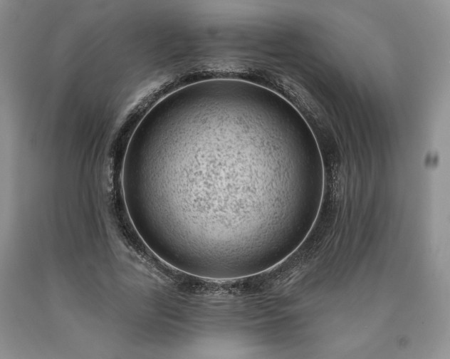 X0000090440731200707201252