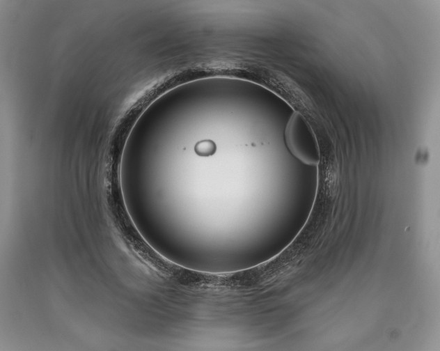 X0000090440732200707201252