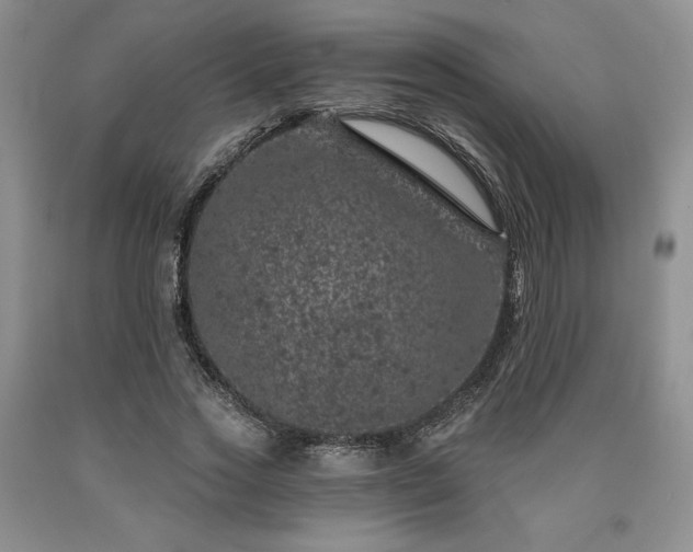 X0000090440733200707201252