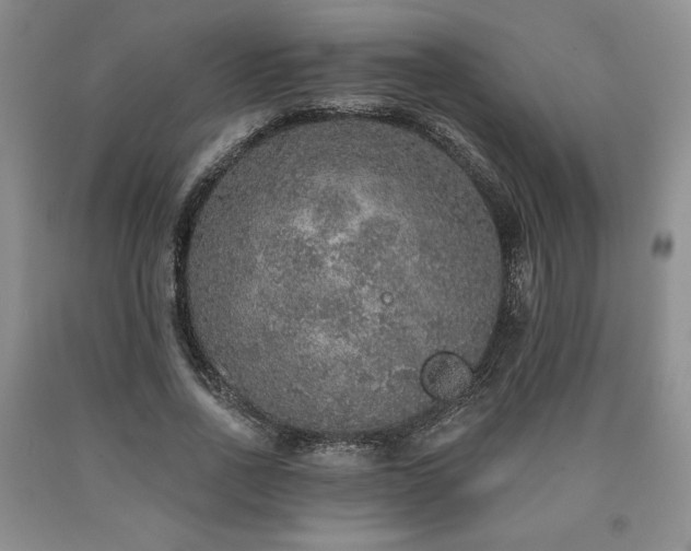 X0000090440734200707201252